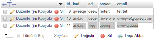 Veritabanındaki kayıt