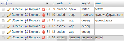 Boş email ile eklenen kayıtlar