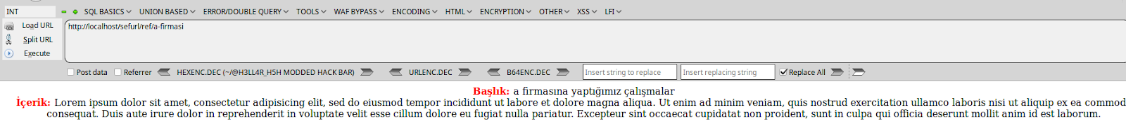 SEF URL örnek sayfa
